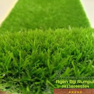 zdw-752 Rumput Sintetis Swiss - Artificial Grass Terbaik