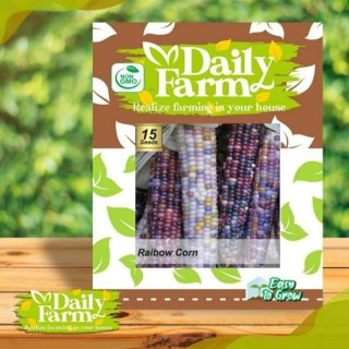 Daily Farm Benih Rainbow Corn