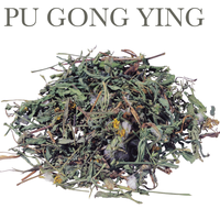 5. Teh Dandelion Herbal Tea Pu Gong Ying