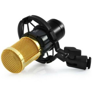 Taffstudio Mikrofon Kondenser Studio dengan Shock Proof Mount - BM800