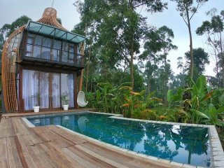 Bubu Jungle Resort Camping Pod