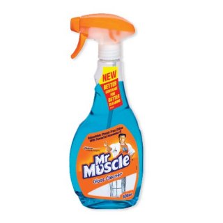 Mr. Muscle Windex