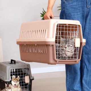 Kandang Kucing / Pet Cargo