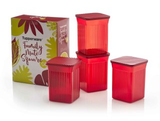 Tupperware Family Mate Square Red
