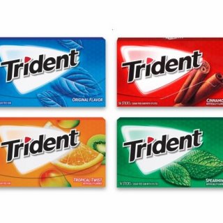 Trident Sugar Free Gum 14 Pieces