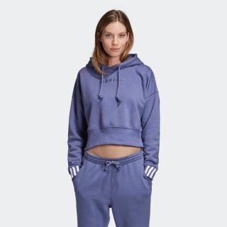 Adidas Sweater Cropped Graphic Hoodie