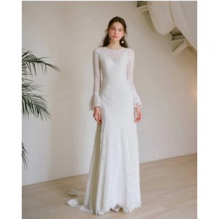 Lace Long Sleeve Simple Bridal Gown