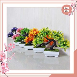 UNICO PBP05 Tanaman Bonsai Hias Pot Bunga Plastik Ornamaen Artifisial Dekorasi Rumah