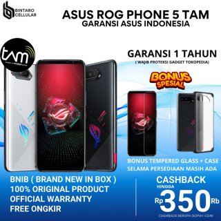 Asus ROG Phone Ultimate 5