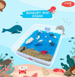 27. Ocean Sensory Box