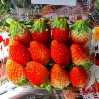 HarvestMoon Strawberry Korea Per Pack