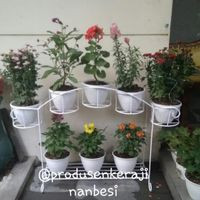 Bikin Rumah Semakin Cozy dengan 10 Rak Pot  Bunga  Minimalis 