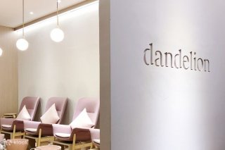 Dandelion Waxing