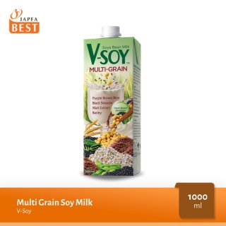 V-SOY Multi Grain Soy Milk