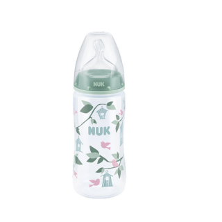 NUK PP Bottle With Silicone Teat Size 2M