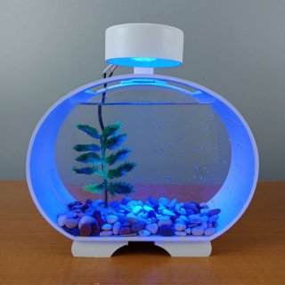 Aquarium Mini Acrylic Solitare
