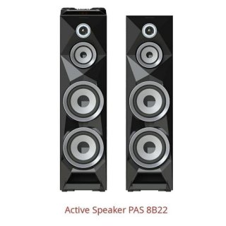Polytron Active Speaker PAS 8B22
