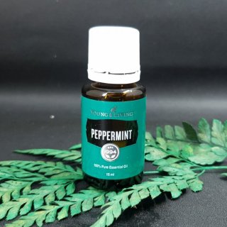 Essential oil Young Living Peppermint 15ml