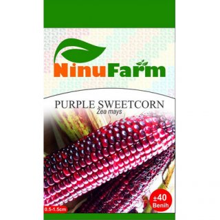 Ninufarm Purple Sweet Corn