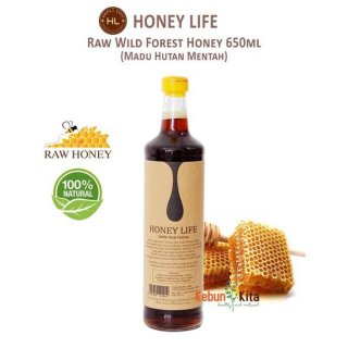 Honey Life Raw Wild Forest Honey