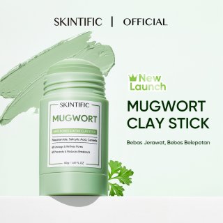 SKINTIFIC Mugwort Clay Mask Stick Mask