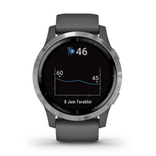 Garmin Vivoactive 4