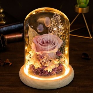 GLASS DOME Lampu tidur bunga holo emas hadiah kado romantis valentine wisuda ulang tahun led