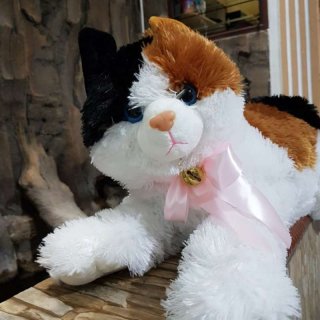 Boneka: Boneka Kucing Esmeralda Jumbo