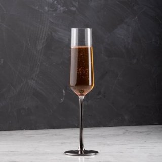 Brewsuniq Duke Silver Champagne Glass