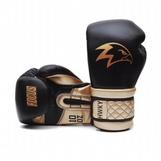 Hawkeye Focus Boxing Gloves