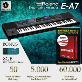 Roland E A7