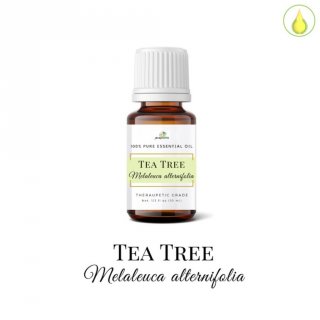 Tea Tree Essential Oil 10 ml Minyak Atsiri Pohon Teh