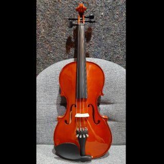 21. Biola Violin Pemula Beginner Pearl River 183