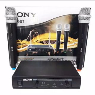 Sony SN87