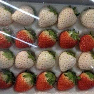 Strawberry Korea Mix White & Red Premium 330