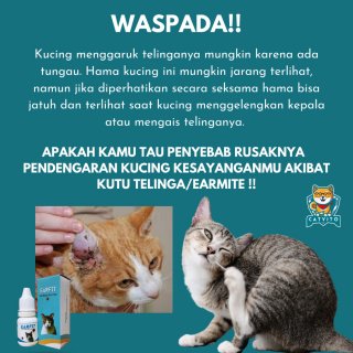 EARFIT Obat Tungau Kuping Kucing Earmites / Kutu Telinga Kucing
