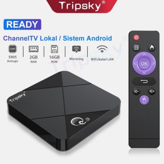 Tripsky MiniQ3 Android 9 2.4G Wifi Smart Tv Box