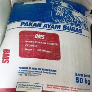 Pakan Ayam Buras BMS