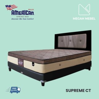 Spring Bed American Giant Mattress