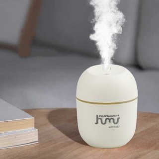 Taffware Mini Air Humidifier Aromatherapy Oil Diffuser LED Light 220ml 