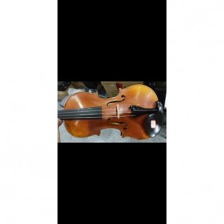 24. Biola Violin Scott Cao STV 600