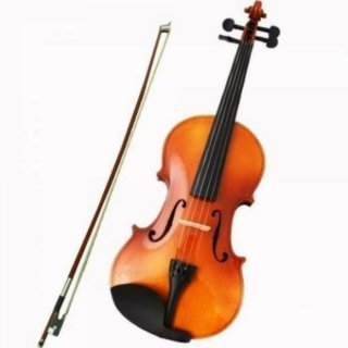 STAINER Violin Outfit SVG-001-DB-4/4