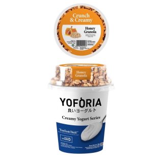 Yoforia Refreshing Yoghurt Drink