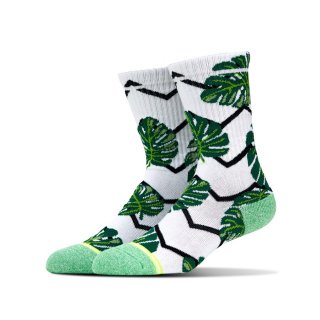 Voted Kaos Kaki Monstera