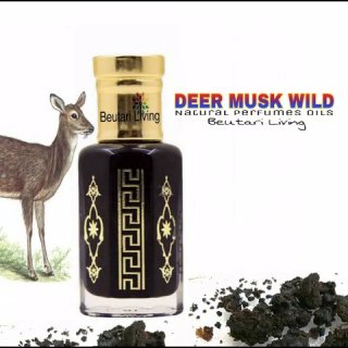 Deer Musk Wild Parfume Oil