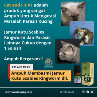 Obat Kucing CAT and FIT X1 Ultimate Untuk Kutu Jamur Scabies Cacing