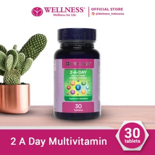 Wellness 2 A Day Multivitamin