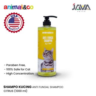 Animalnco Premium Shampo Kucing Anti Kutu - Cat shampo 1000 mL
