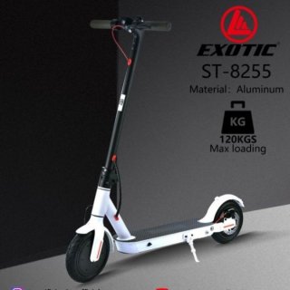 Exotic Scooter Electric ST-8255