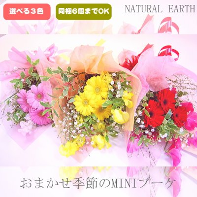 予算1000円程の花束は誕生日や送別会のプチギフトに最適 美しい生花や